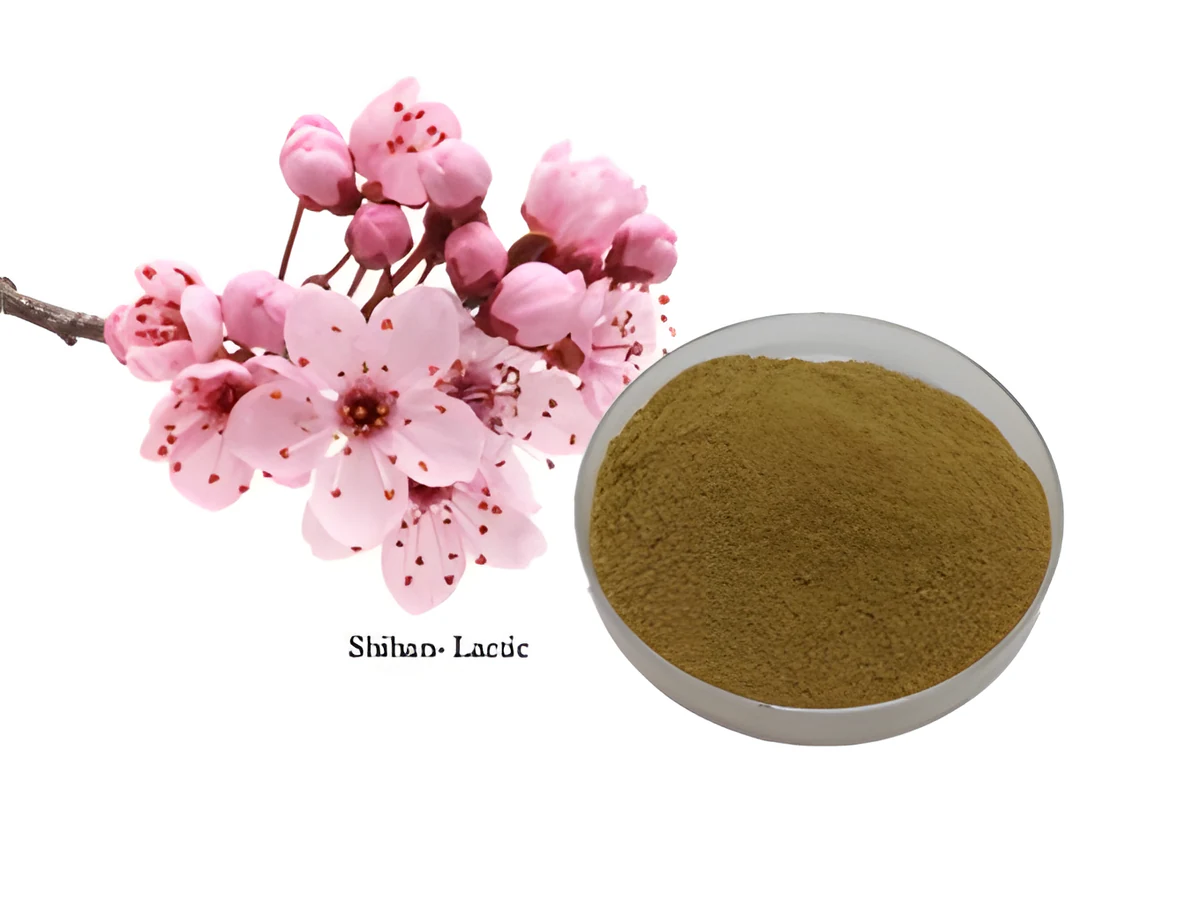 Lactic Acid Facial at Shihan Beauty Clinic